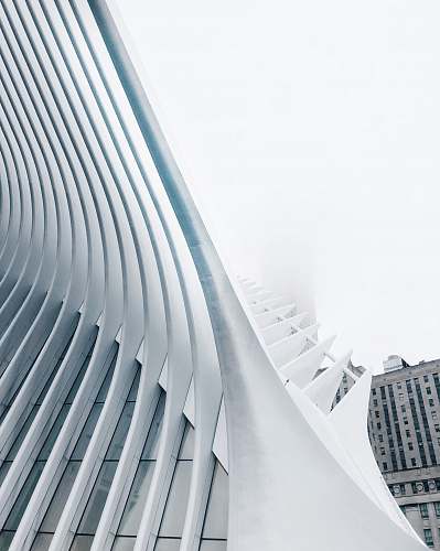 new york structural view of building architecture